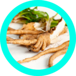 inulina da raiz de chicoria