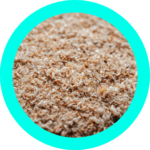 psyllium plantago ovatae
